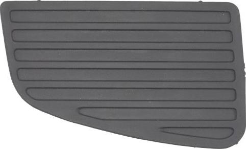 BLIC 6502-07-3548918P - Grila ventilatie, bara protectie aaoparts.ro