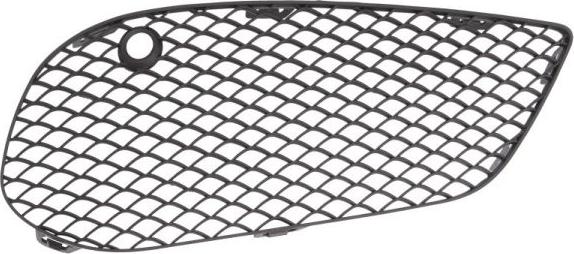 BLIC 6502-07-3521914P - Grila ventilatie, bara protectie aaoparts.ro