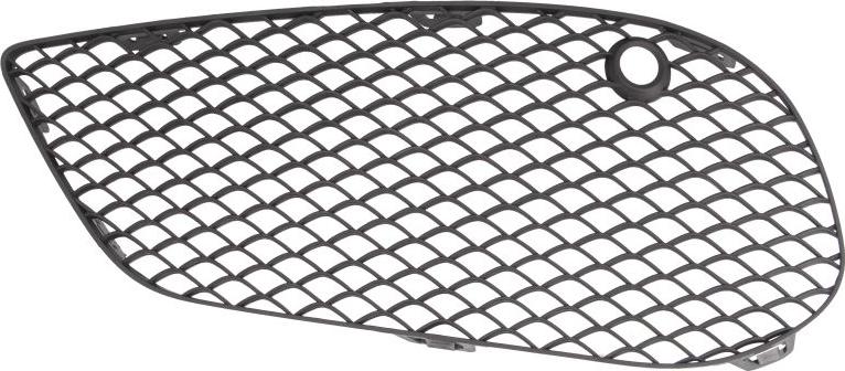 BLIC 6502-07-3521913P - Grila ventilatie, bara protectie aaoparts.ro