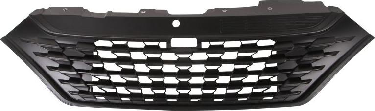 BLIC 6502-07-3084990P - Grila radiator aaoparts.ro