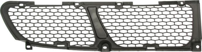 BLIC 6502-07-3191911P - Grila ventilatie, bara protectie aaoparts.ro