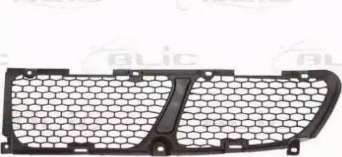 BLIC 6502-07-3191912P - Grila ventilatie, bara protectie aaoparts.ro