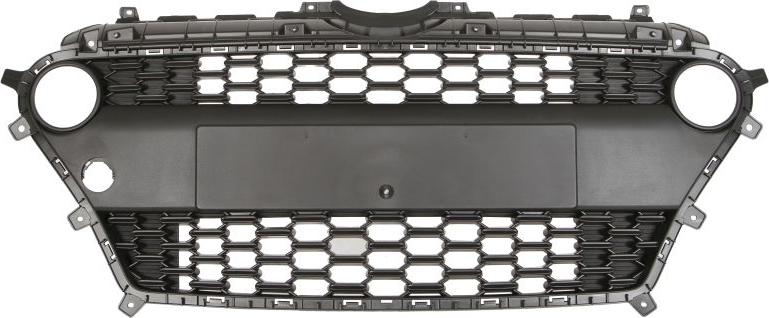 BLIC 6502-07-3121991P - Grila ventilatie, bara protectie aaoparts.ro