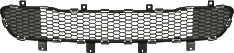 BLIC 6502-07-3217910P - Grila ventilatie, bara protectie aaoparts.ro