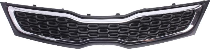 BLIC 6502-07-3279990P - Grila radiator aaoparts.ro