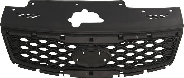 BLIC 6502-07-3277991P - Grila radiator aaoparts.ro