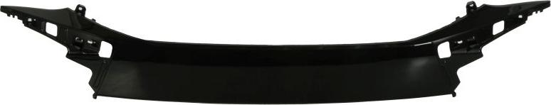 BLIC 6502-07-3754992P - Banda de protectie, bara de protectie aaoparts.ro