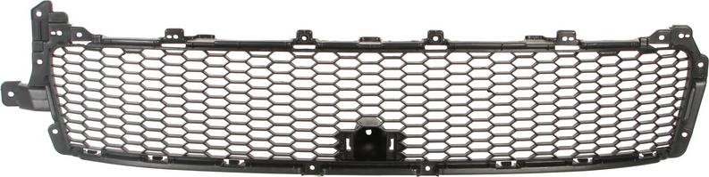 BLIC 6502-07-3750910P - Grila ventilatie, bara protectie aaoparts.ro