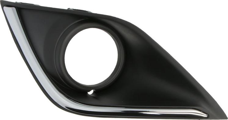 BLIC 6502-07-3753911P - Grila ventilatie, bara protectie aaoparts.ro
