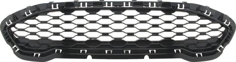 BLIC 6502-07-2566999P - Grila radiator aaoparts.ro