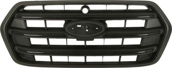 BLIC 6502-07-2517990PP - Grila radiator aaoparts.ro