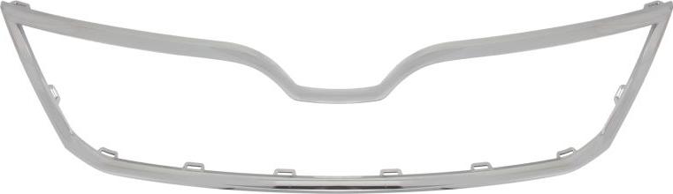 BLIC 6502-07-7516991P - Banda de protectie, grila radiator aaoparts.ro