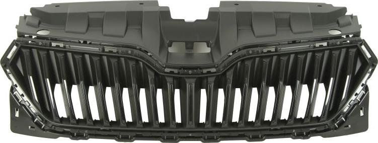 BLIC 6502-07-7517992P - Grila radiator aaoparts.ro