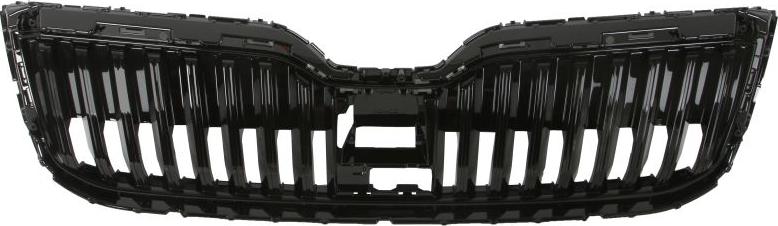 BLIC 6502-07-7530990P - Grila radiator aaoparts.ro