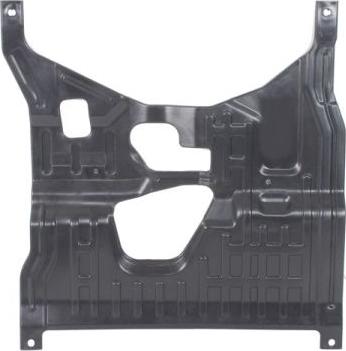 BLIC 6601-05-0000003Q - Acoperire motor aaoparts.ro