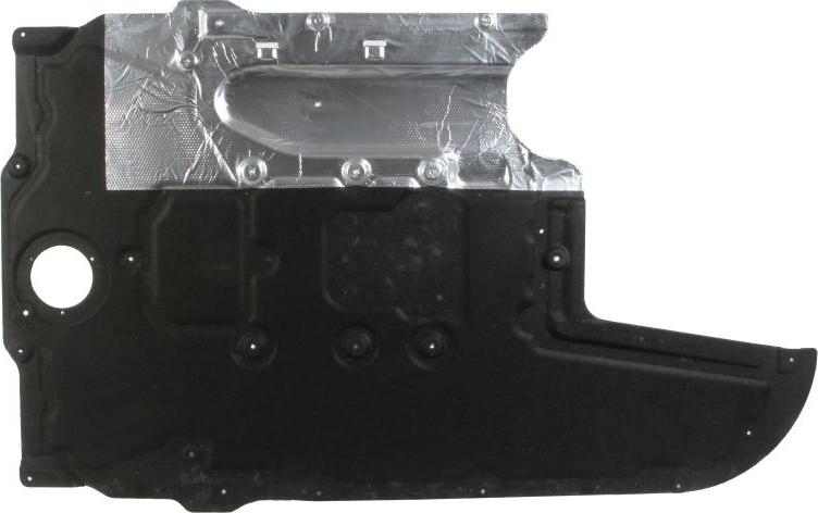 BLIC 6601-05-0000034P - Acoperire motor aaoparts.ro