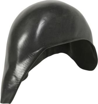 BLIC 6601-01-0521832P - Aripa interioara aaoparts.ro