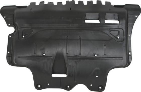 BLIC 6601-02-9588862P - Acoperire motor aaoparts.ro