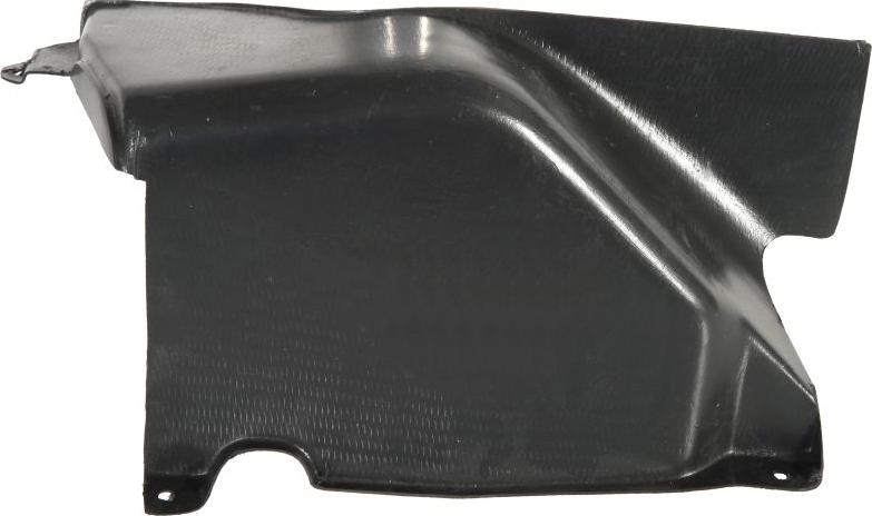 BLIC 6601-02-9522890P - Acoperire motor aaoparts.ro