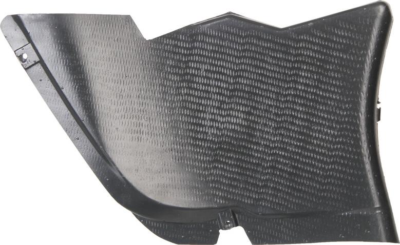 BLIC 6601-02-9522886P - Scut motor aaoparts.ro