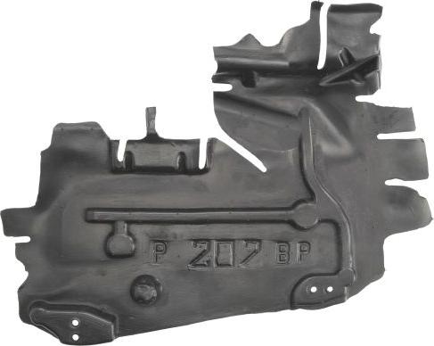 BLIC 6601-02-5508872P - Acoperire motor aaoparts.ro