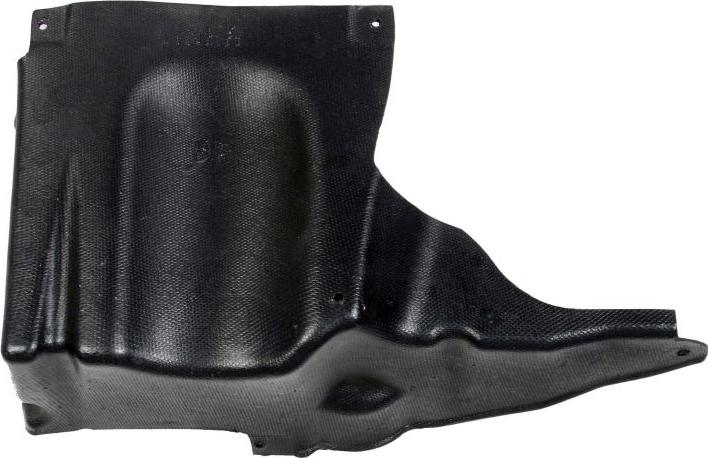 BLIC 6601-02-0553872P - Acoperire motor aaoparts.ro