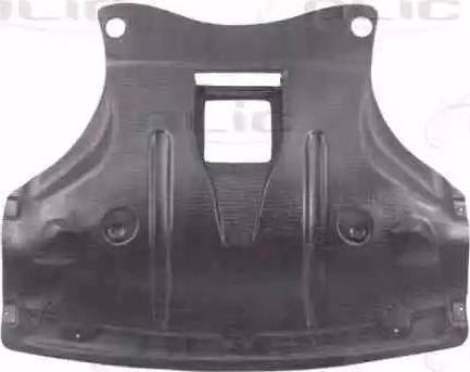 BLIC 6601-02-0093860P - Acoperire motor aaoparts.ro