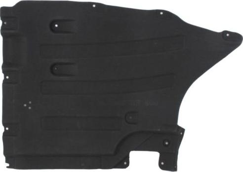 BLIC 6601-02-0097984P - Acoperire motor aaoparts.ro