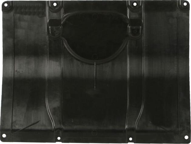 BLIC 6601-02-0097860P - Scut motor aaoparts.ro