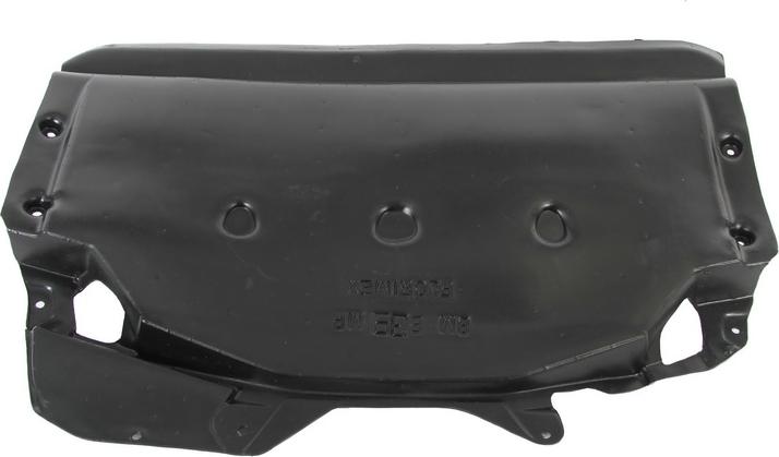 BLIC 6601-02-0065863P - Scut motor aaoparts.ro