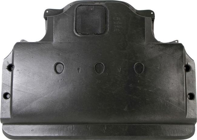 BLIC 6601-02-0065862P - Acoperire motor aaoparts.ro