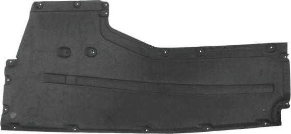 BLIC 6601-02-0068985P - Acoperire motor aaoparts.ro