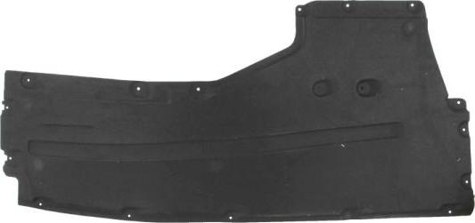 BLIC 6601-02-0068986P - Acoperire motor aaoparts.ro