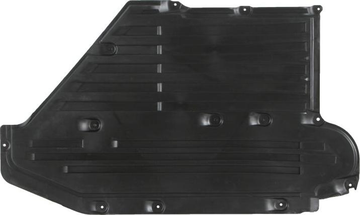 BLIC 6601-02-0068983P - Acoperire motor aaoparts.ro