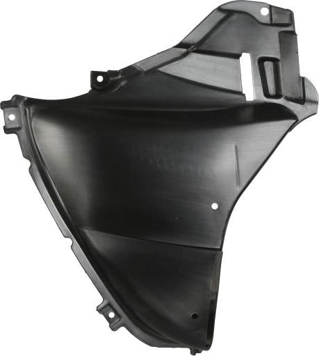 BLIC 6601-02-0068862P - Acoperire motor aaoparts.ro