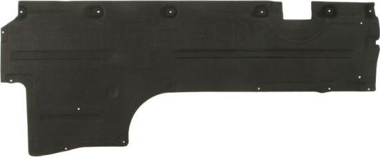 BLIC 6601-02-0067982P - Acoperire motor aaoparts.ro