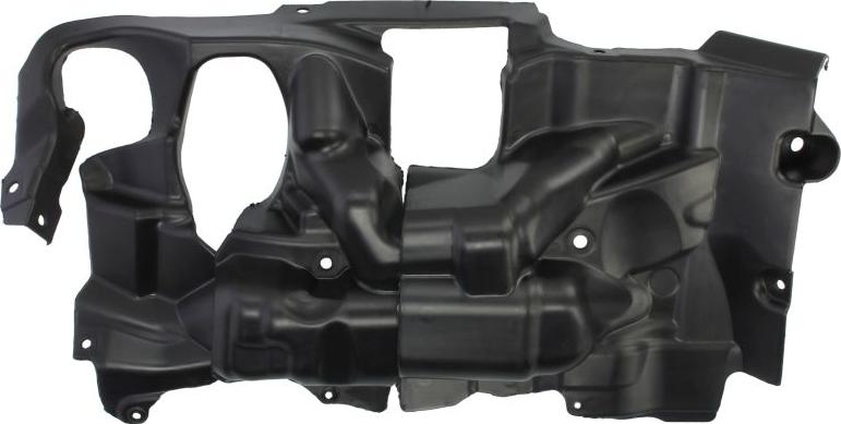 BLIC 6601-02-0067862P - Acoperire motor aaoparts.ro