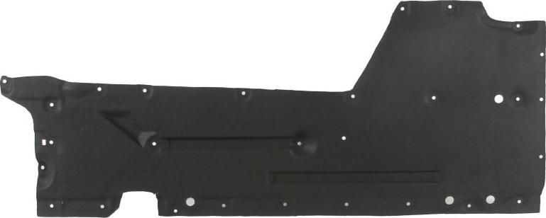 BLIC 6601-02-0086982P - Acoperire motor aaoparts.ro