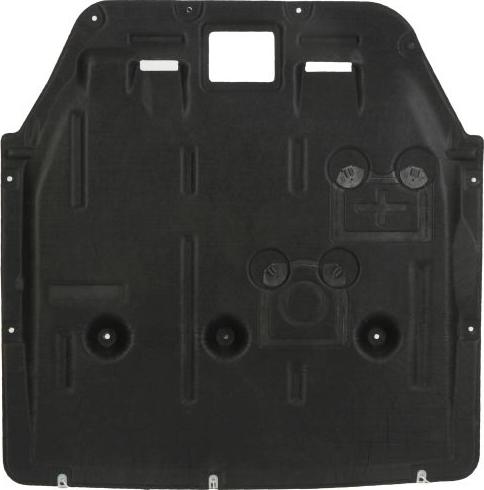 BLIC 6601-02-0082861P - Scut motor aaoparts.ro