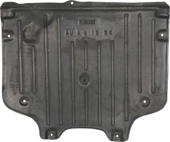 BLIC 6601-02-0030861P - Acoperire motor aaoparts.ro