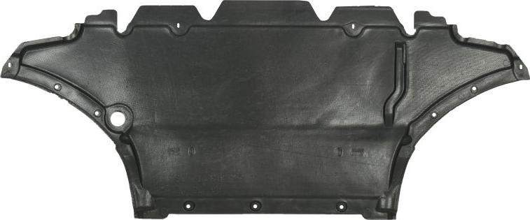 BLIC 6601-02-0038860P - Acoperire motor aaoparts.ro
