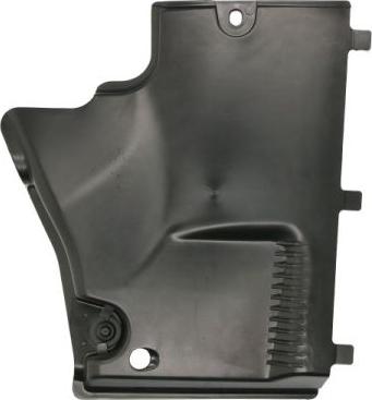 BLIC 6601-02-0029984P - Acoperire motor aaoparts.ro