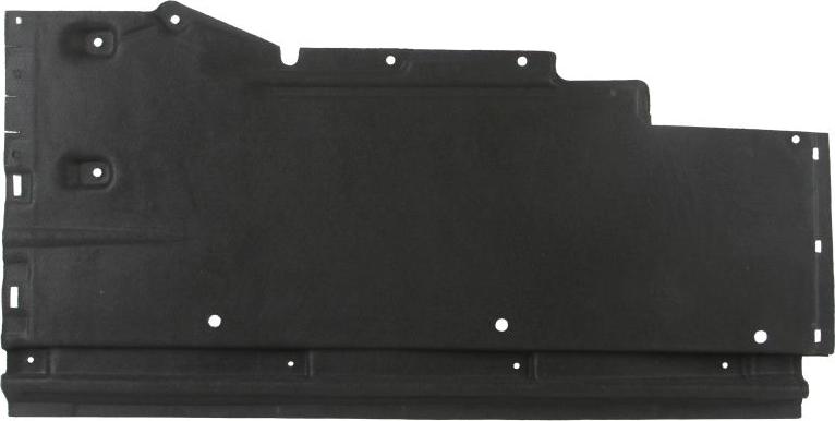 BLIC 6601-02-0029981P - Acoperire motor aaoparts.ro