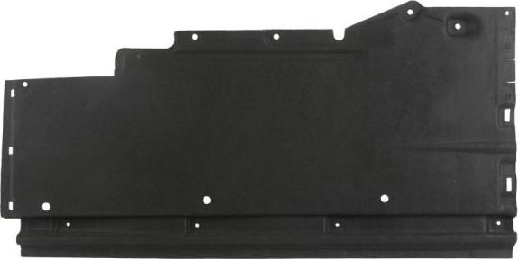 BLIC 6601-02-0029982P - Acoperire motor aaoparts.ro
