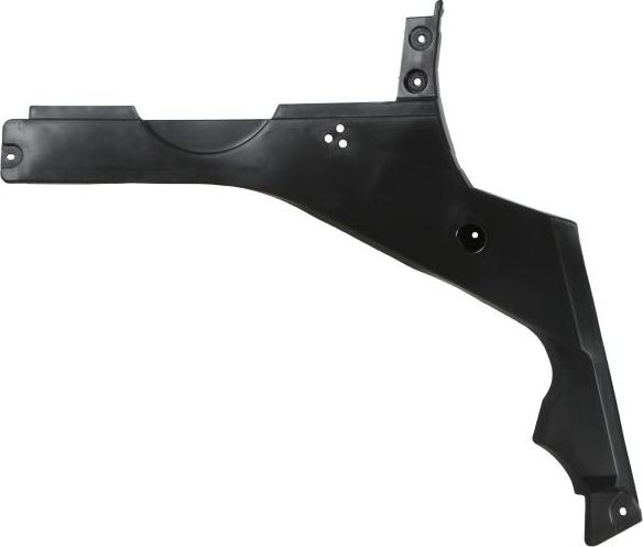 BLIC 6601-02-0072981P - Acoperire motor aaoparts.ro