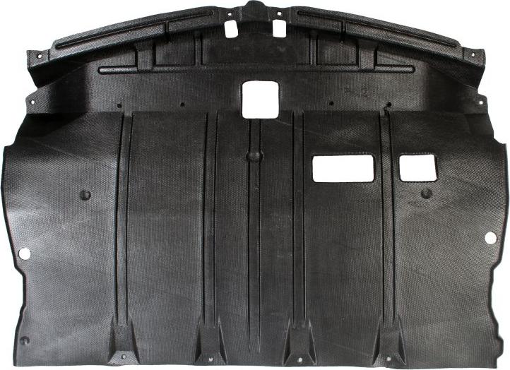 BLIC 6601-02-1670860P - Acoperire motor aaoparts.ro