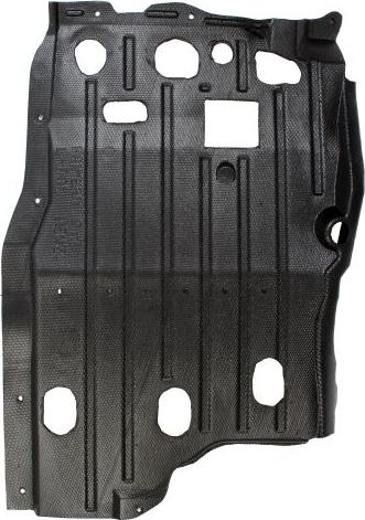 BLIC 6601-02-1670873P - Acoperire motor aaoparts.ro