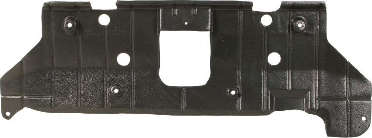 BLIC 6601-02-3155860P - Acoperire motor aaoparts.ro