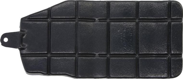 BLIC 6601-02-3155861P - Acoperire motor aaoparts.ro