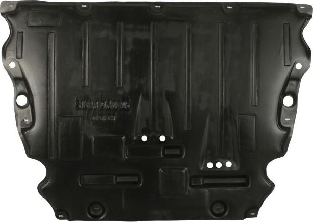 BLIC 6601-02-2583861P - Acoperire motor aaoparts.ro